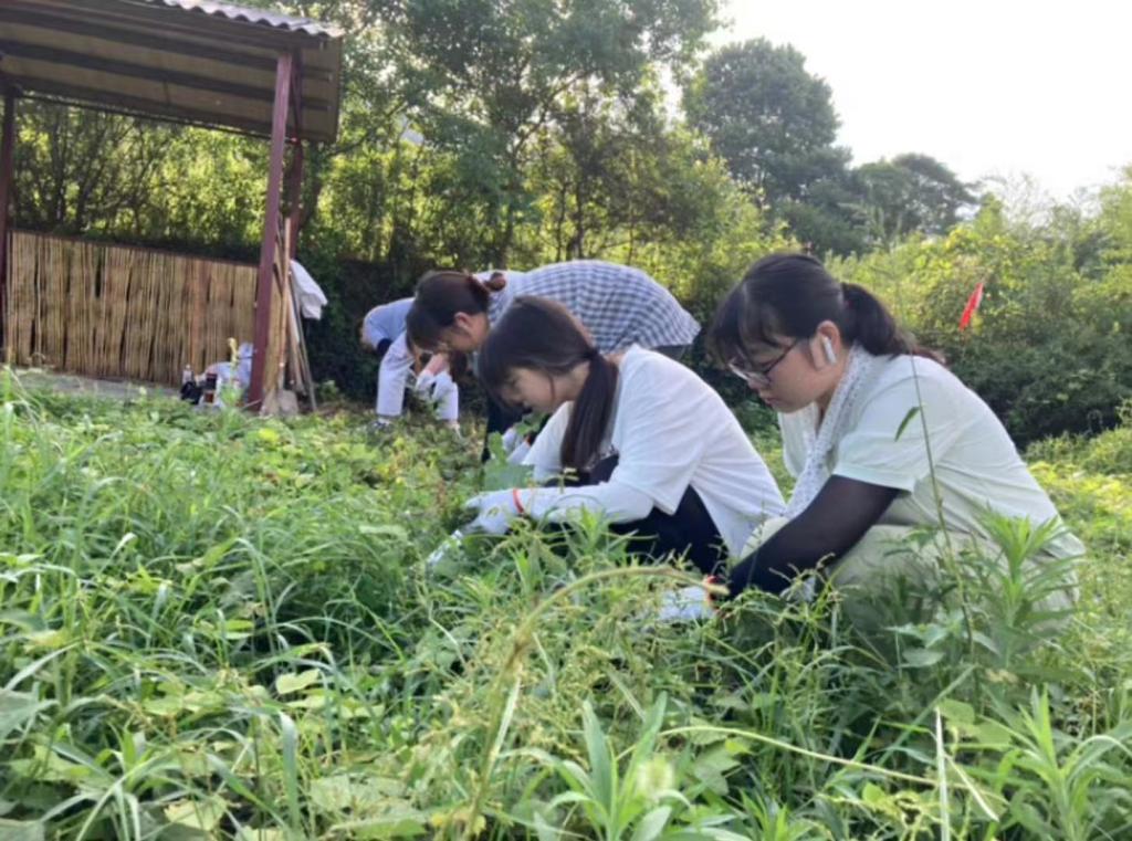 免费观看已满十八岁电视剧两女