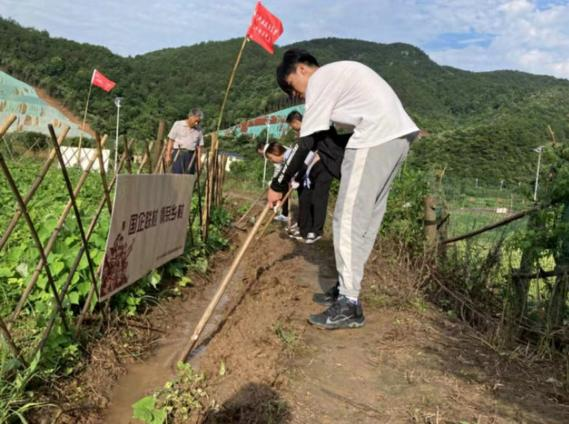 免费观看已满十八岁电视剧两女