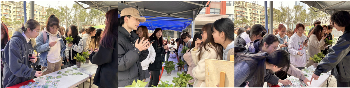 免费观看已满十八岁电视剧两女