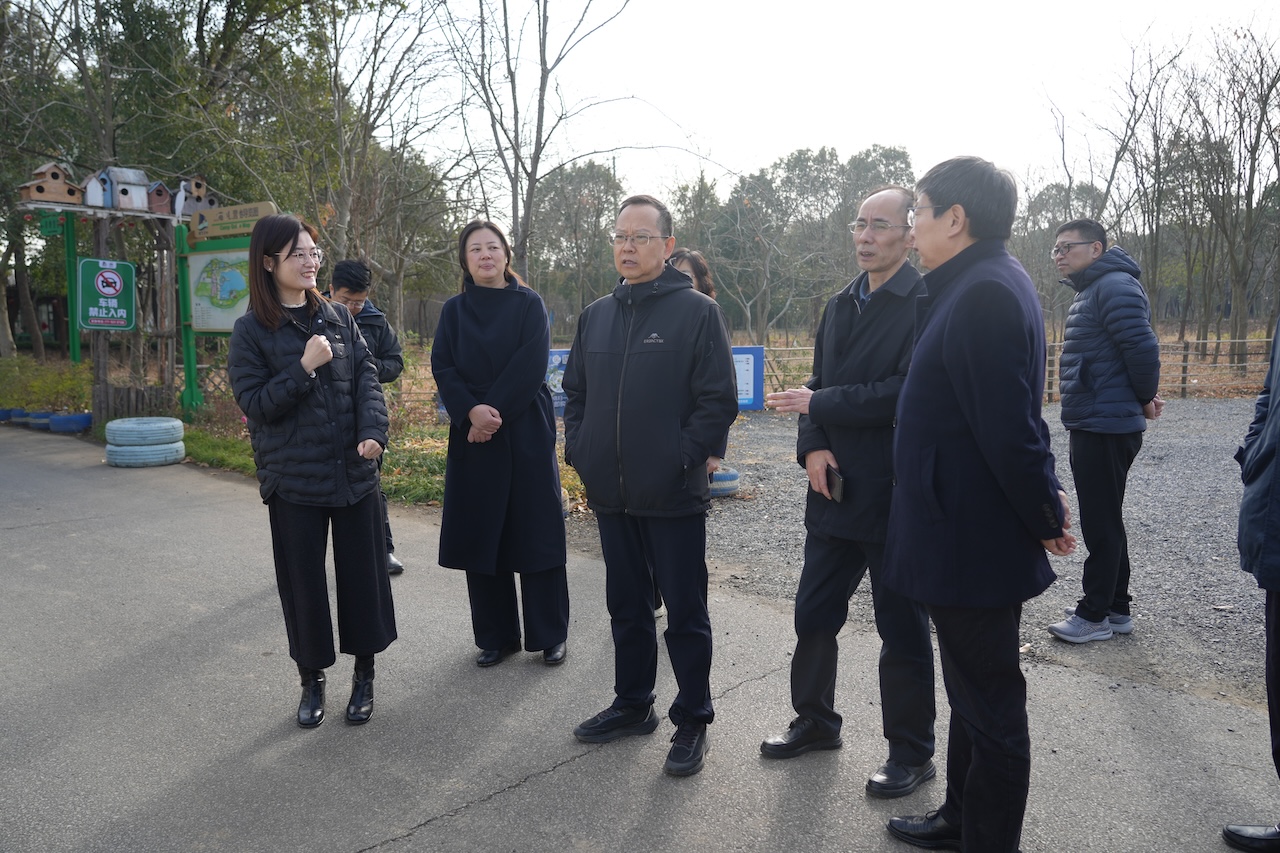 1766210676601838.jpg DSC06659.JPG